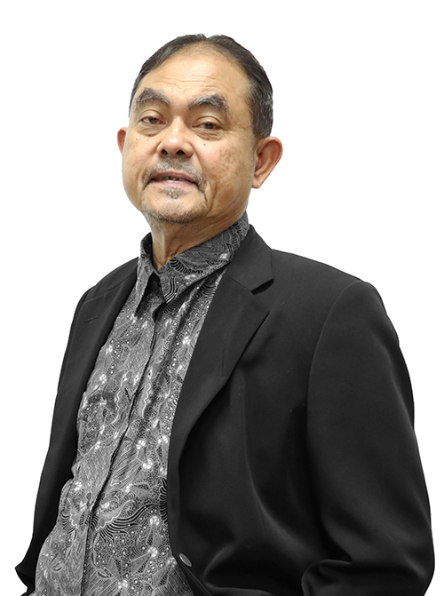 Mohamed Yusoff Abbas (Prof., Dr.)